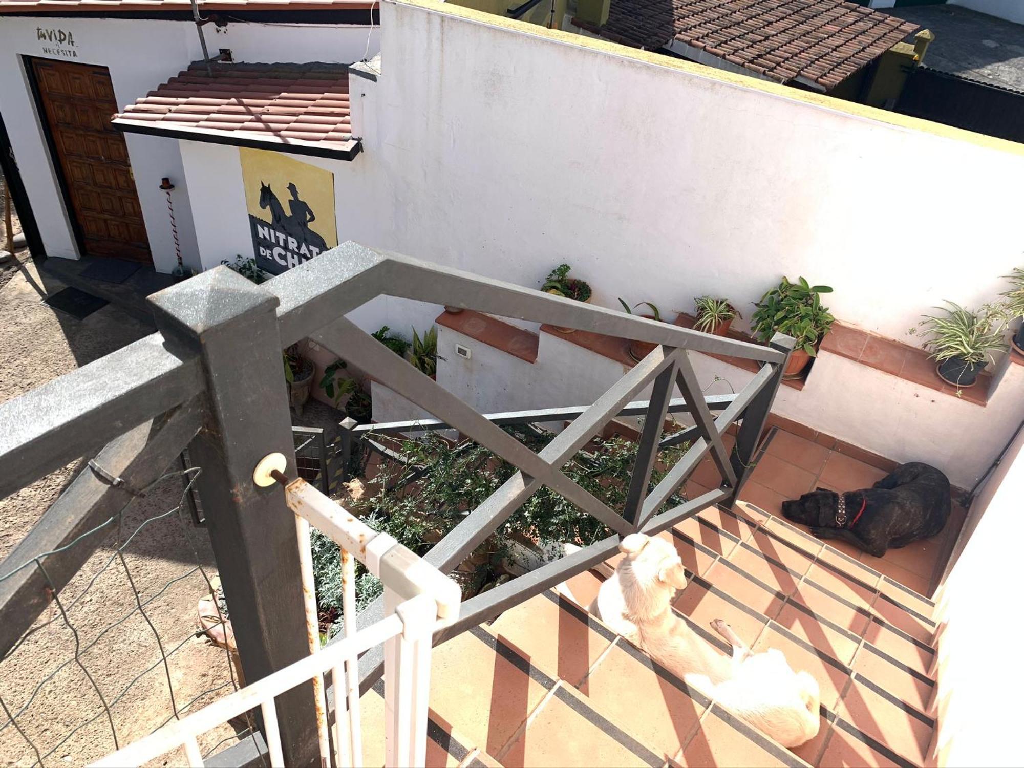 El Sueño de Mamá Asociación y Grupos Apartamento Tegueste Exterior foto