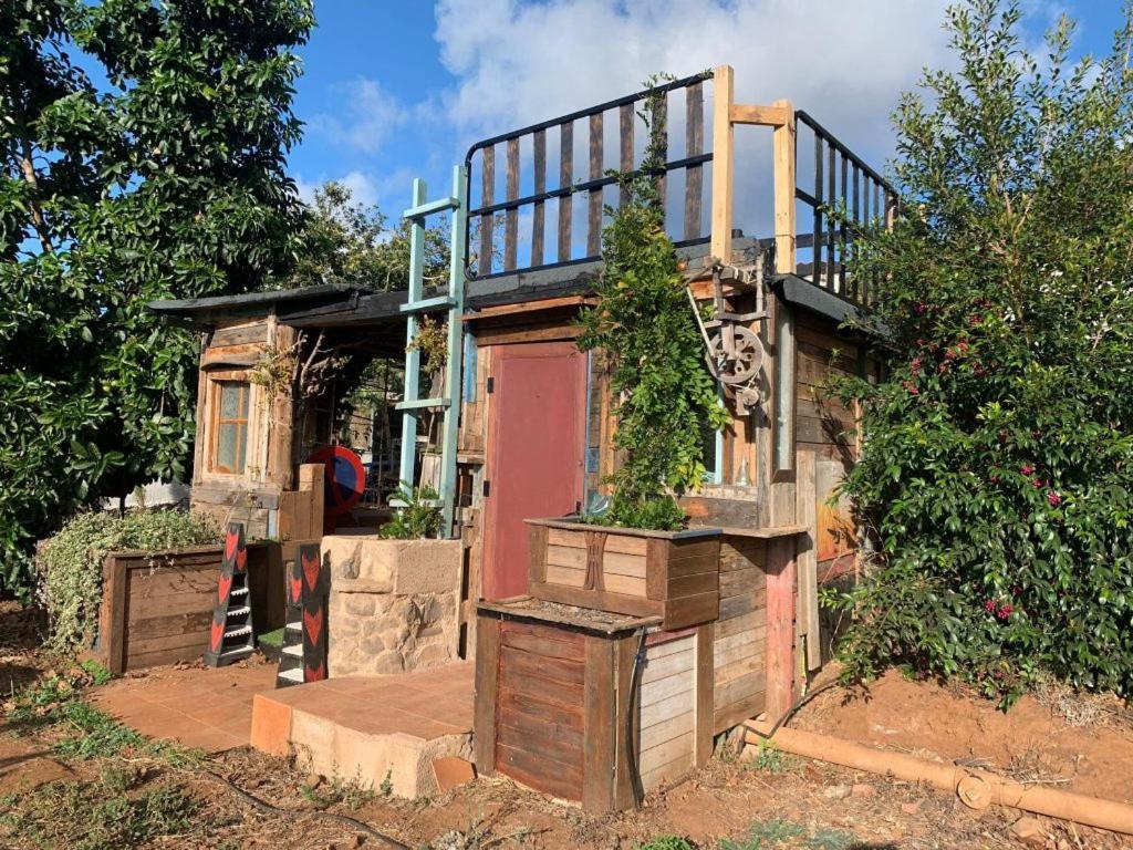 El Sueño de Mamá Asociación y Grupos Apartamento Tegueste Exterior foto